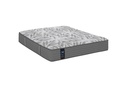 Sealy Grace Medium
